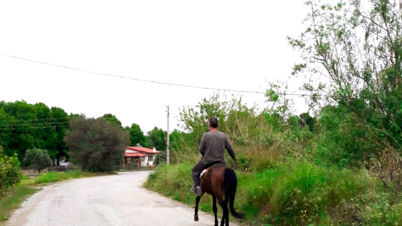 Dalyan sokaklarında atlı bir birey görüldü